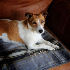 Personalised Luxury Double Layer Dog Blankets - Grey & Black Check
