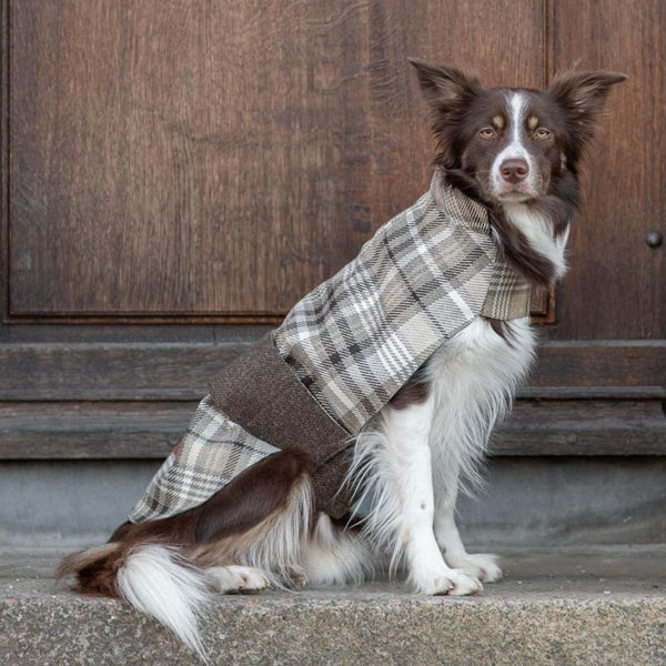 Bowl and Bone Brown Tweed Leaf Dog Coat Luxury Dog Coats