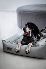 Bowl and Bone Urban Dog Bed Grey