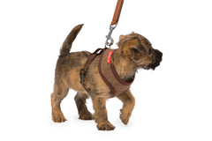 Brown Tweed Memory Foam Dog Harness by House of Paws