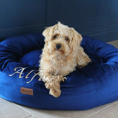 Personalised Donut Dog Bed In Cobalt Blue Velvet by Miaboo