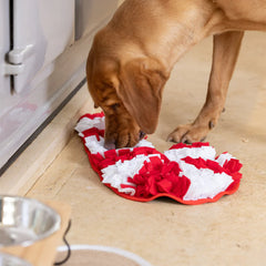 House of Paws Snuffle Candy Cane Dog Toy