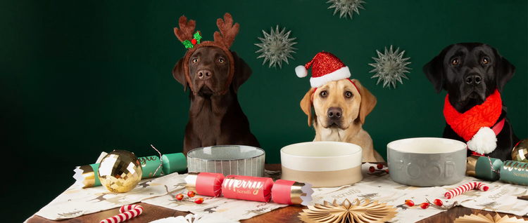 Christmas Dog Bowls