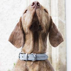 Mutts and Hounds Grey Leather Dog Collar and Lead Set