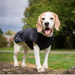 Country and Twee Black Underbelly Waterproof Dog Coat