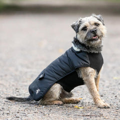 Country and Twee Black Underbelly Waterproof Dog Coat Chelsea Dogs