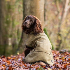 Country and Twee Green Tweed Waterproof Dog Coat