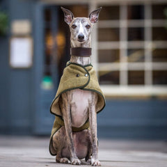 Country and Twee Green Tweed Whippet Coat | Whippet Dog Coats