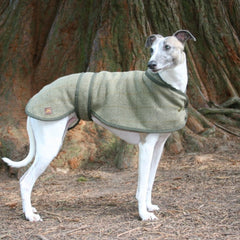 Country and Twee Green Tweed Whippet Coat | Whippet Dog Coats