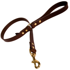 Creature Clothes Brown Leather Dog Lead With Brass Studs
