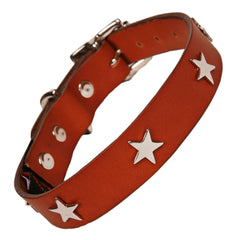 Creature Clothes Tan Leather Dog Collar With Silver Stars