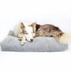 Opulence Scandinavian Grey Cushion Dog Bed - Can Be Personalised by Miaboo