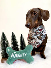 Dear Santa Christmas Dog Bandana