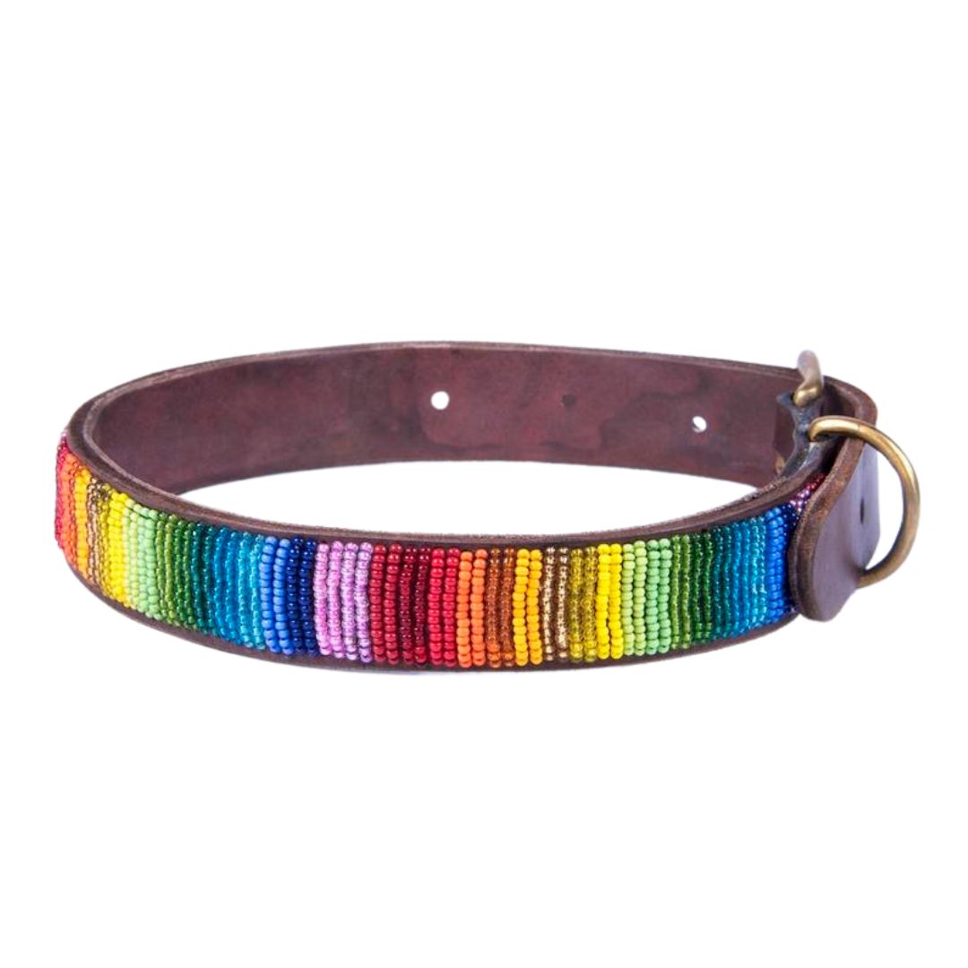 Designer Beaded Leather Dog Collar Rainbow