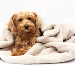 Dog Snuggle Sack in Natural | Miaboo British Made Dog Beds