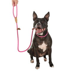 Doodlebone Originals Dog Slip Leads Fuchsia Pink