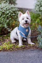 FuzzYard Life Cotton Harness - French Blue