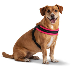 Tre Ponte Easy Fit Fluo Pink Mesh Dog Harness with Adjustable Girth