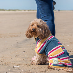 Ruff And Tumble Dog Drying Coat Beach Stripe