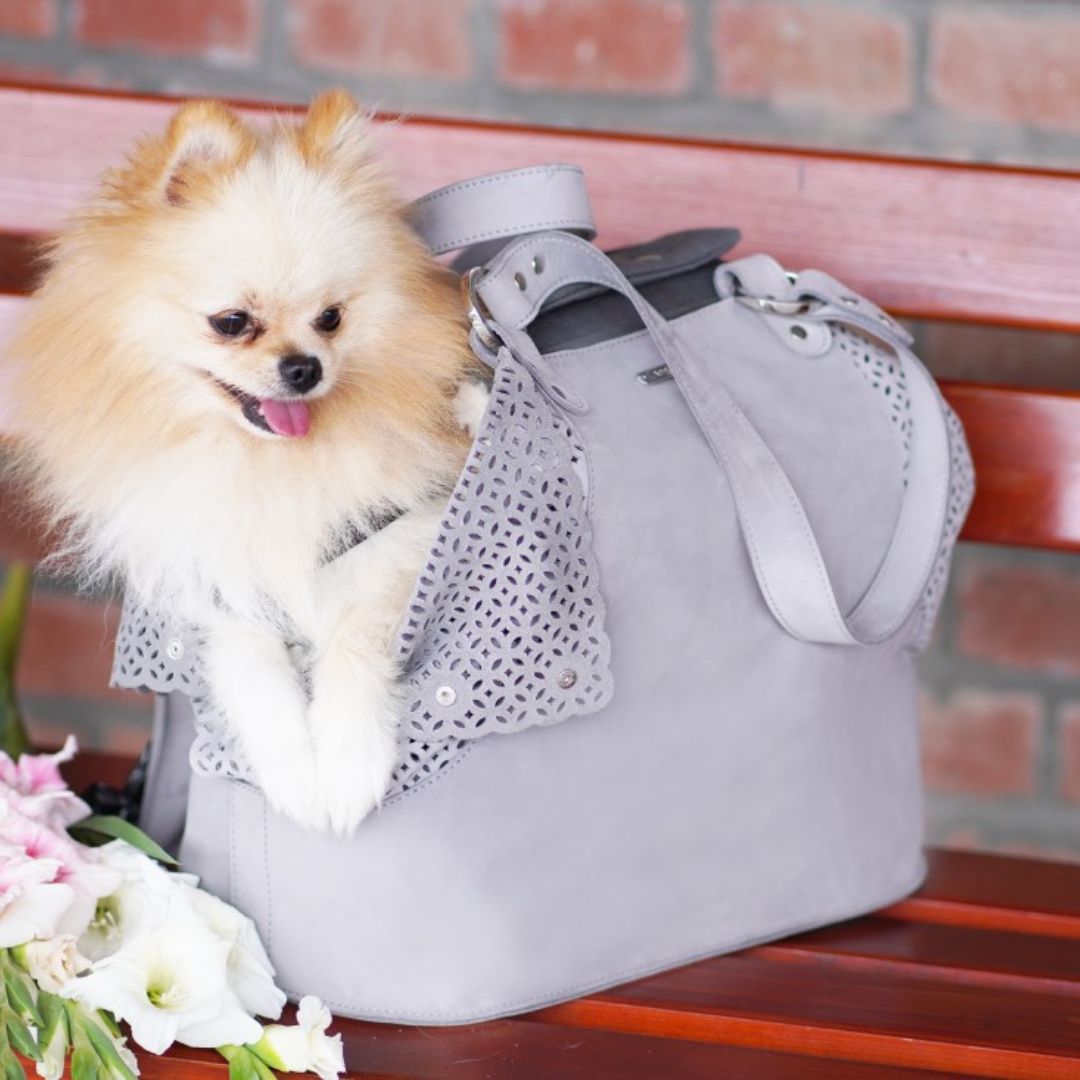 Elva Grey Elegant Dog Carrier & Handbag by Labbvenn