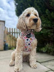 Little Enchanted Meadows Floral Dog Harness