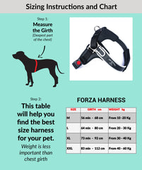 Tre Ponti Forza Anti-Pull Black Dog Harness