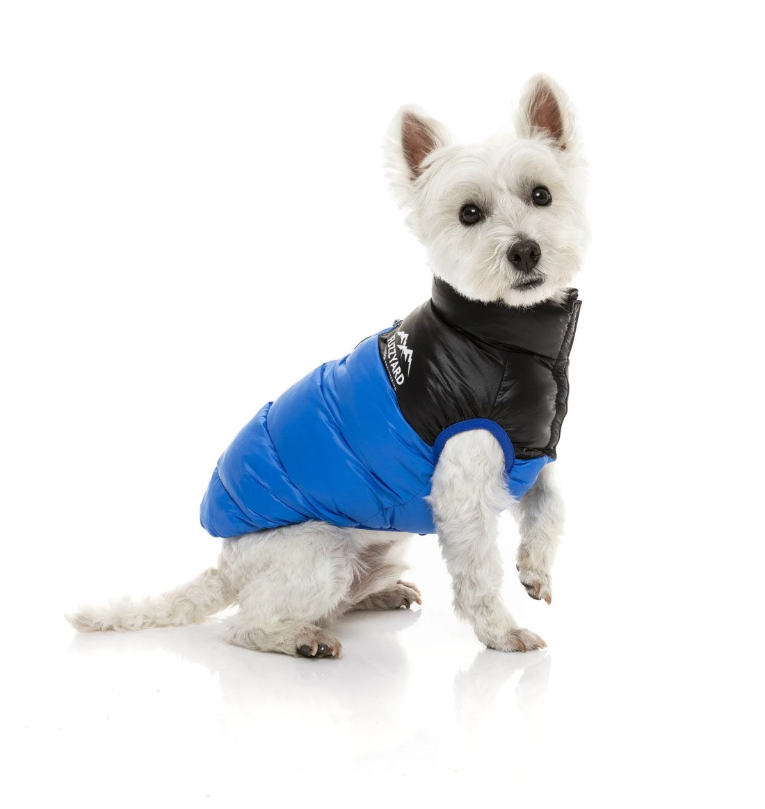 FuzzYard Harlem Puffer Dog Jacket - Blue