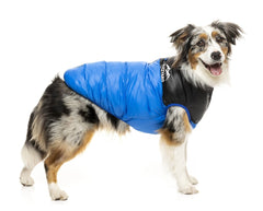 FuzzYard Harlem Puffer Dog Jacket - Blue