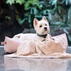 FuzzYard Life Cotton Dog Bed in Soft Blush Pink