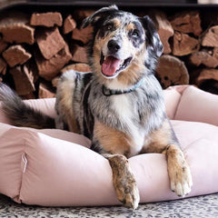 FuzzYard Life Cotton Dog Bed in Soft Blush Pink