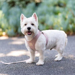 FuzzYard Life Step-In Dog Harness In Soft Blush Pink