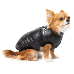 FuzzYard The Eastcoast Harness Dog Jacket - Black