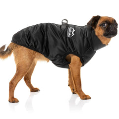 FuzzYard The Eastcoast Harness Dog Jacket - Black