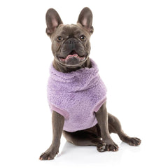FuzzYard Turtle Teddy Dog Sweater - Purple