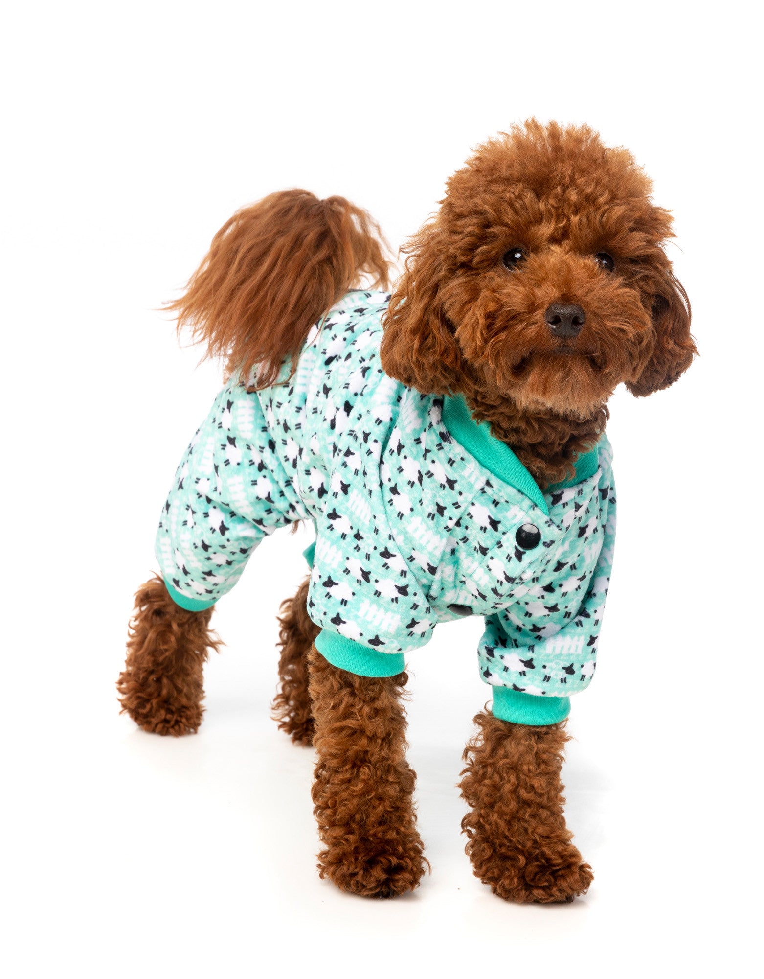 FuzzYard Counting Sheep Dog Pyjamas