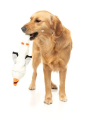 See-ya Seagull - The Yeetz - Dog Toy by FuzzYard