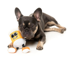 Steinzy - The Homies Dog Toy