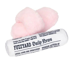 Fetch My Slippers & Paper 2 Pack Dog Toys