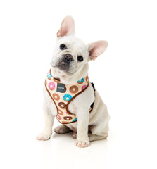 FuzzYard Go Nuts Dog Harness