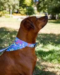 Dancing Leaves Dog Bandana by Hiro and Wolf