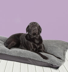 Happy Landings Black/Grey Reversible Waterproof Deep Duvet Dog Bed Spare Cover by Danish Design