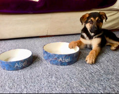 Personalised Granite Design Dog Bowls & Treat Jar Set