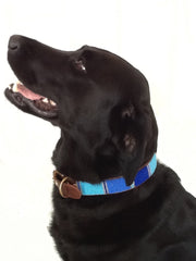 Designer Beaded Leather Dog Collar Blue Lagoon