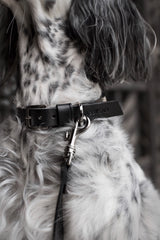 Kullo Natural Italian Black Leather Dog Collar by Labbvenn