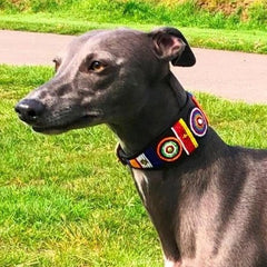 Luxury Beaded Leather Whippet Dog Collar