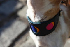 Hiro And Wolf Dakar Greyhound Collar