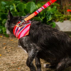 Inca Orange Dog Bandana by Hiro and Wolf