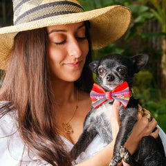 Inca Orange Dog Bow Tie by Hiro And Wolf
