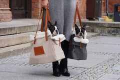 Liiva Beige Dog Carrier & Handbag by Labbvenn