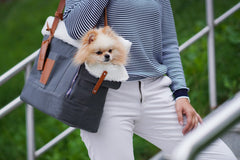 Liiva Grey Dog Carrier & Handbag by Labbvenn